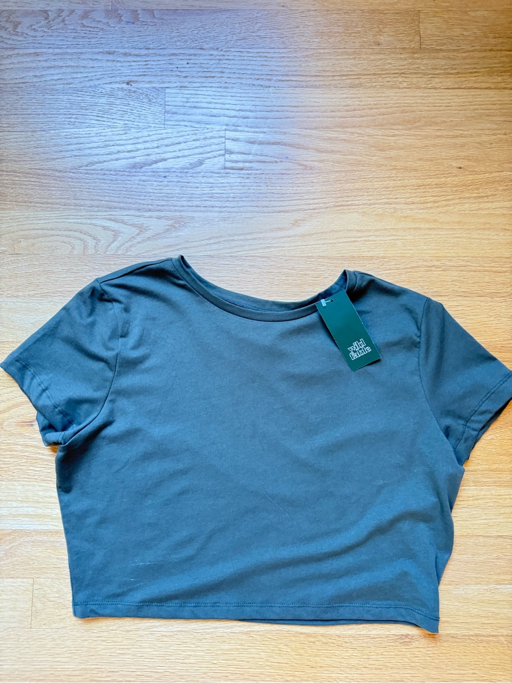 wild fable Olive Green Cropped Crewneck Tee